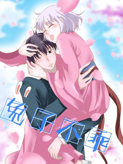 兔子不乖