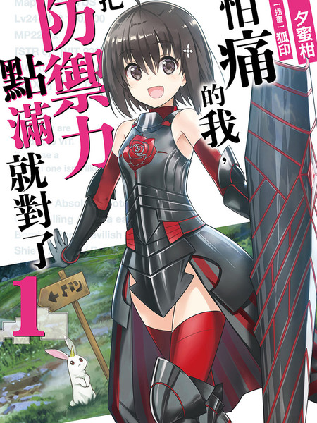 怕痛的我，把防御力点满就对了-轻小说