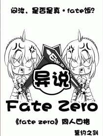 异说fate zero