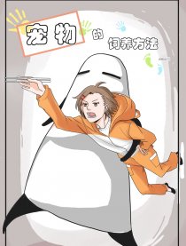 宠物的饲养方法