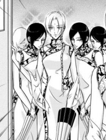 殿下是怪盗狂遇